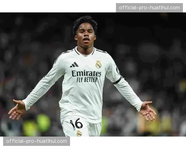 冬窗法甲转会身价榜：恩瓦内里4000万居首，恩德里克第三